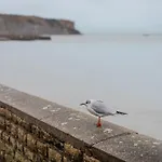 Esperance *